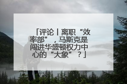 评论丨离职“效率部”，马斯克是闯进华盛顿权力中心的“大象”？