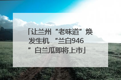 让兰州“老味道”焕发生机 “兰白946”白兰瓜即将上市