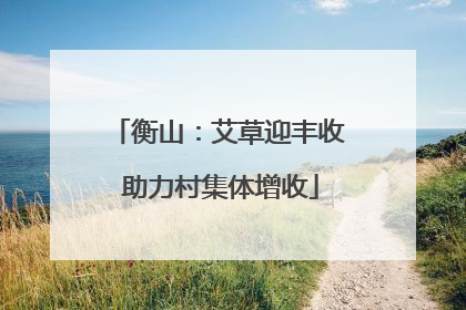 衡山：艾草迎丰收 助力村集体增收