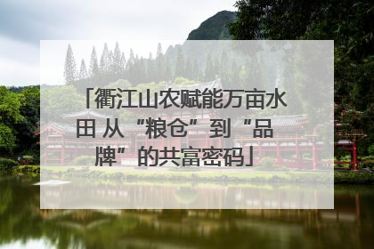 衢江山农赋能万亩水田 从“粮仓”到“品牌”的共富密码