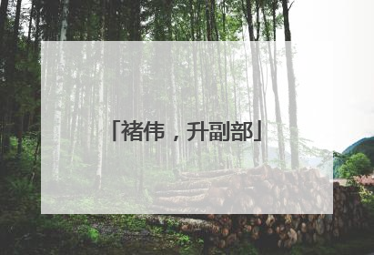 褚伟，升副部