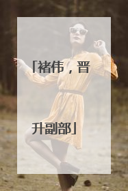 褚伟，晋升副部