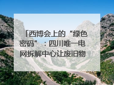 西博会上的“绿色密码”：四川唯一电网拆解中心让废旧物资“重生”｜西博寻“新”记