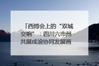 西博会上的“双城交响”：四川六市州共展成渝协同发展画卷｜西博视界