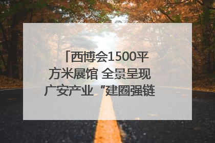 西博会1500平方米展馆 全景呈现广安产业“建圈强链”｜西博视界