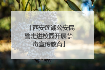 西安莲湖公安民警走进校园开展禁毒宣传教育