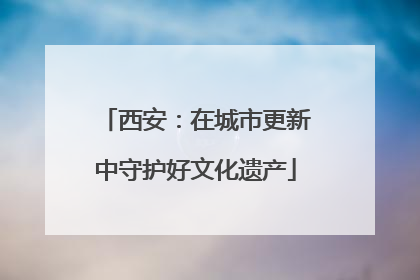 西安：在城市更新中守护好文化遗产