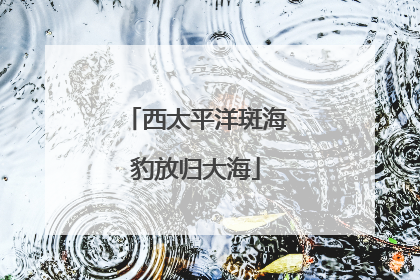 西太平洋斑海豹放归大海