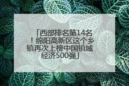 西部排名第14名！绵阳高新区这个乡镇再次上榜中国镇域经济500强
