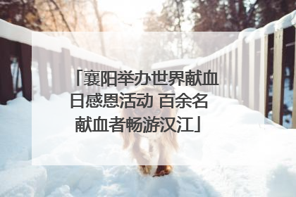 襄阳举办世界献血日感恩活动 百余名献血者畅游汉江