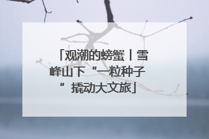 观潮的螃蟹丨雪峰山下“一粒种子”撬动大文旅