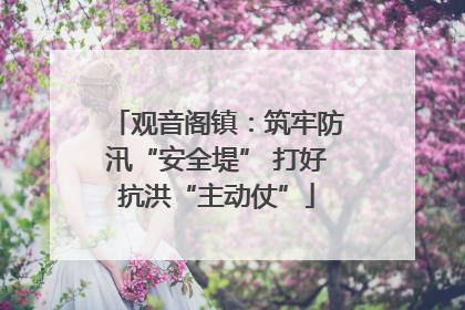 观音阁镇：筑牢防汛“安全堤” 打好抗洪“主动仗”