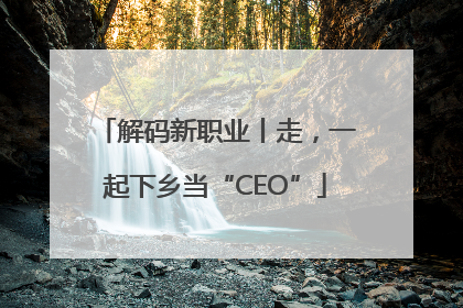 解码新职业丨走，一起下乡当“CEO”