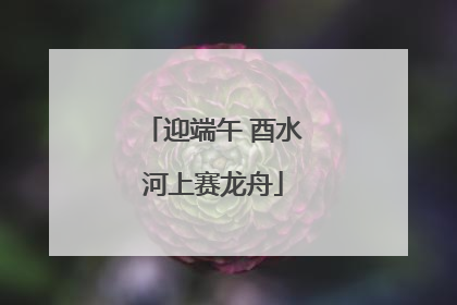 迎端午 酉水河上赛龙舟