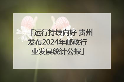 运行持续向好 贵州发布2024年邮政行业发展统计公报