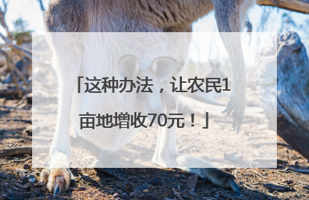 这种办法，让农民1亩地增收70元！