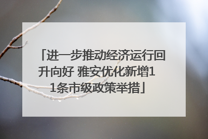 进一步推动经济运行回升向好 雅安优化新增11条市级政策举措