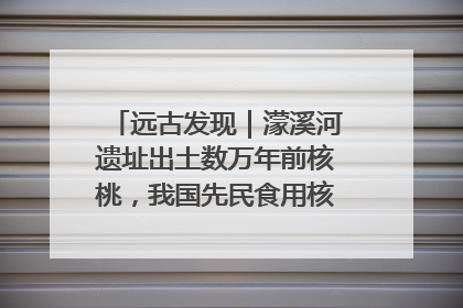 远古发现｜濛溪河遗址出土数万年前核桃，我国先民食用核桃历史大幅提前