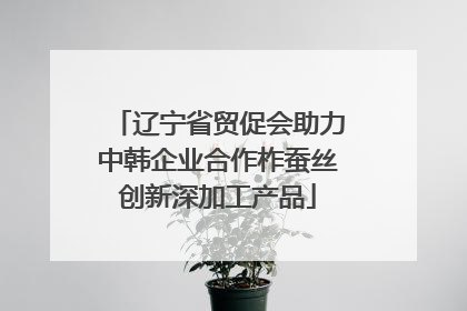 辽宁省贸促会助力中韩企业合作柞蚕丝创新深加工产品