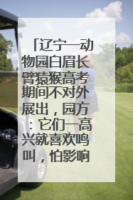 辽宁一动物园白眉长臂猿猴高考期间不对外展出，园方：它们一高兴就喜欢鸣叫，怕影响考试