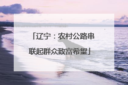 辽宁：农村公路串联起群众致富希望