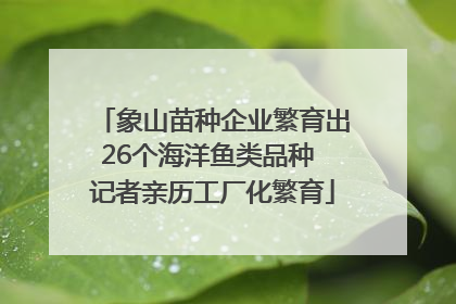 象山苗种企业繁育出26个海洋鱼类品种 记者亲历工厂化繁育