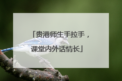 贵港师生手拉手，课堂内外话情长