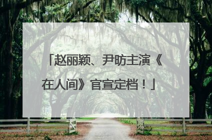 赵丽颖、尹昉主演《在人间》官宣定档！
