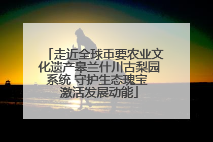走近全球重要农业文化遗产皋兰什川古梨园系统 守护生态瑰宝 激活发展动能