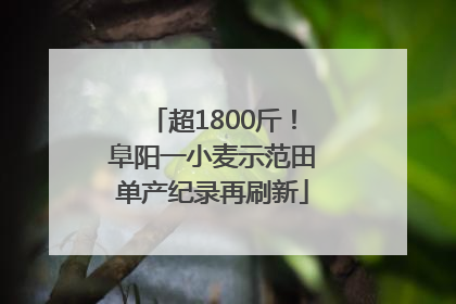 超1800斤！阜阳一小麦示范田单产纪录再刷新