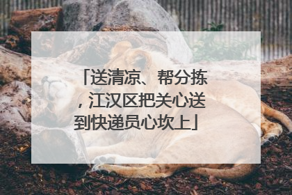 送清凉、帮分拣，江汉区把关心送到快递员心坎上