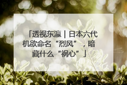 透视东瀛｜日本六代机欲命名“烈风”，暗藏什么“祸心”