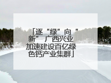 逐“绿”向“新” 广西兴业加速建设百亿绿色钙产业集群