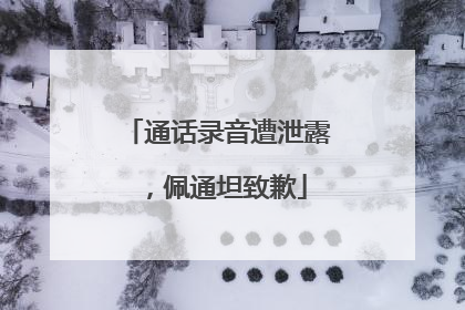 通话录音遭泄露，佩通坦致歉