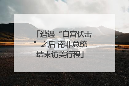 遭遇“白宫伏击”之后 南非总统结束访美行程