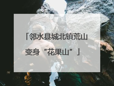 邻水县城北镇荒山变身“花果山”