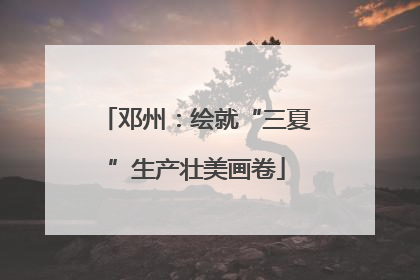 邓州：绘就“三夏”生产壮美画卷