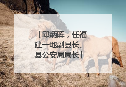 邱炳晖，任福建一地副县长、县公安局局长