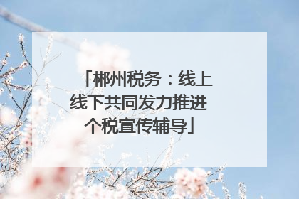郴州税务：线上线下共同发力推进个税宣传辅导