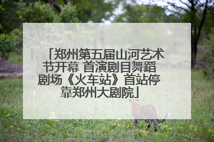 郑州第五届山河艺术节开幕 首演剧目舞蹈剧场《火车站》首站停靠郑州大剧院