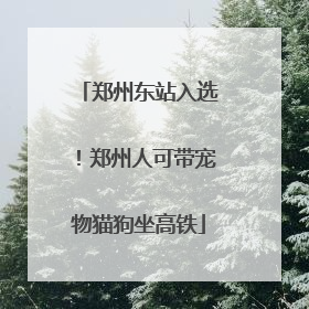 郑州东站入选！郑州人可带宠物猫狗坐高铁