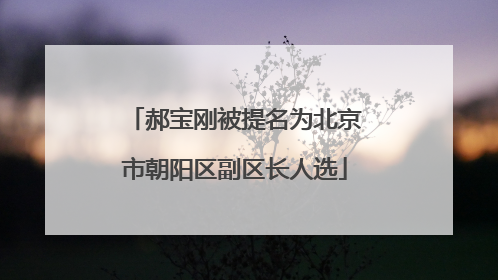 郝宝刚被提名为北京市朝阳区副区长人选