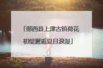 郧西县上津古镇荷花初绽邂逅夏日浪漫