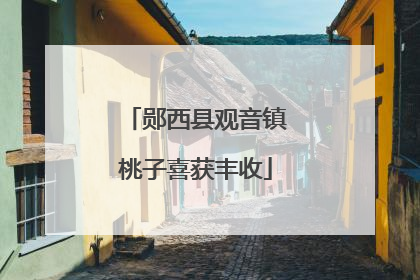 郧西县观音镇桃子喜获丰收