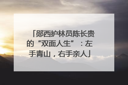 郧西护林员陈长贵的“双面人生”：左手青山，右手亲人