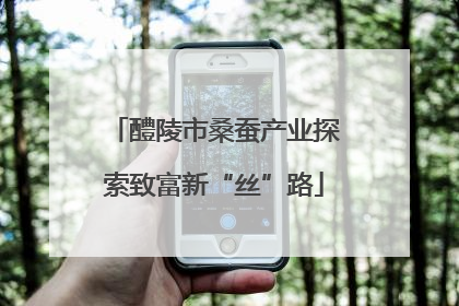 醴陵市桑蚕产业探索致富新“丝”路