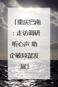 重庆巴南：走访调研听心声 助企破局谋发展