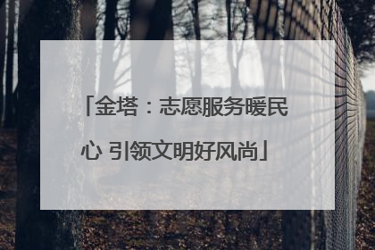 金塔：志愿服务暖民心 引领文明好风尚