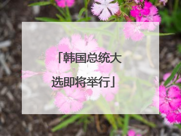 韩国总统大选即将举行