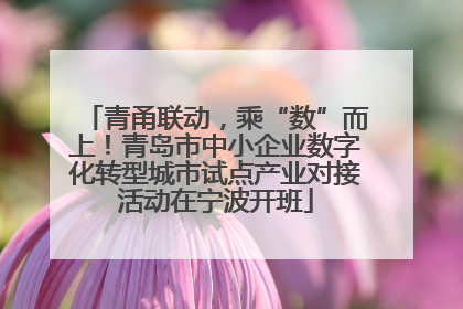 青甬联动，乘“数”而上！青岛市中小企业数字化转型城市试点产业对接活动在宁波开班